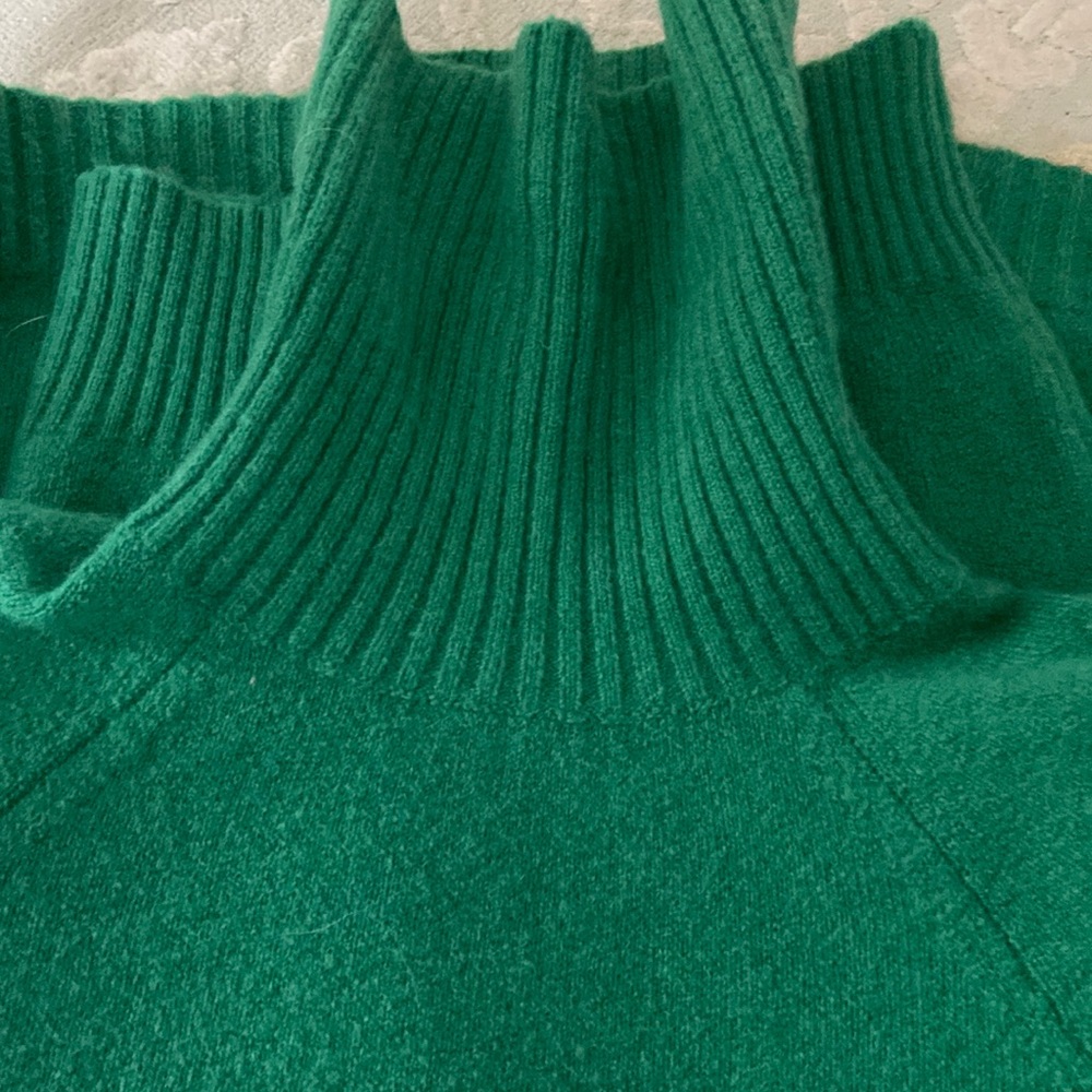 Kelly green jcrew chunky turtleneck